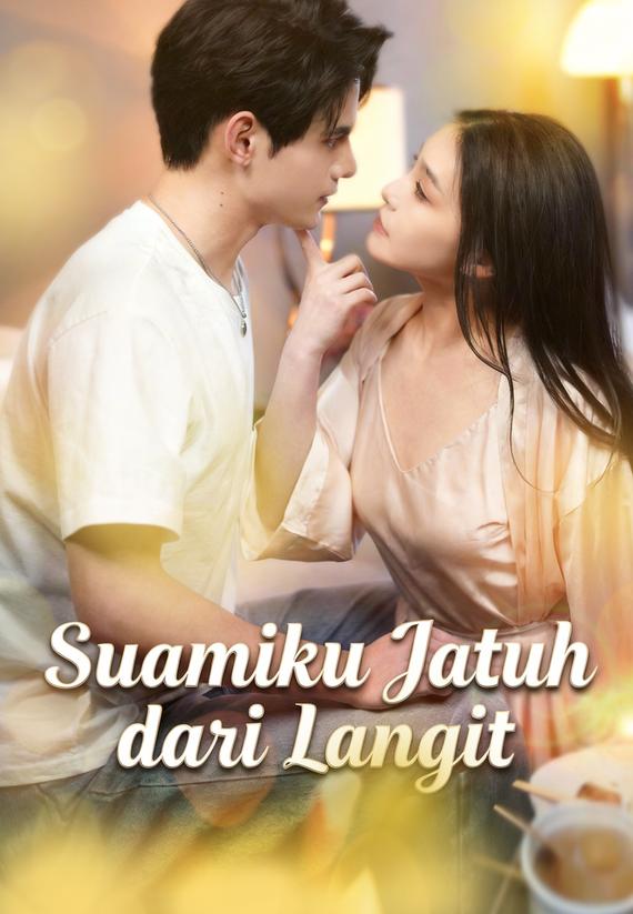 Suamiku Jatuh dari Langit